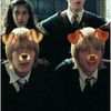 w3asley._.b33