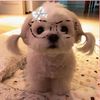 layla_modra26