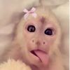 luvxzahxq0