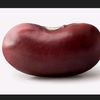 bean3216