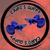cairosguppy