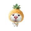 nawatz_05