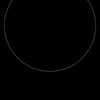nehemiass_7
