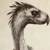 terror.bird2