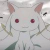 kyubey_did.nothing_wrong