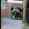 nhoita_15