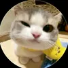 ktnguyn26
