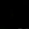 thaonhi_1134