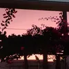 livialemosandrade