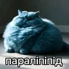 sikretiy_arbus