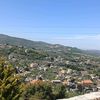 evi565298