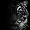 user180504683221