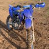 yamahaontop29