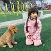 ambi21583