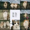 user_celeste345