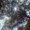 giorgi_676