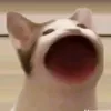 akanightfurry747