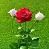 kasem.al.hsmote