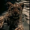 qruz_videolar03