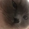 nxjckdnxjcisbs
