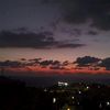 313nour_al_zahraa