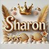 user256740813306