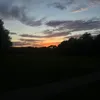 lucaswhittaker0