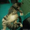 kriiii_14