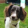 good.girl.rolo