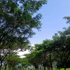 tersenyumlah722...r