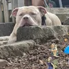 bella.boo468
