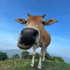 _lanhtthuy.09
