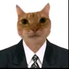 hi986957