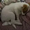 patri_250913
