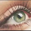 kholoud0956