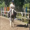 lillie.sherwood5