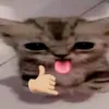 nnghuy20