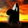 sauvezwilly6233