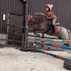 phoebe.sunshine0