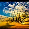 mohmad.al.khalld