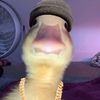 samirmcirke