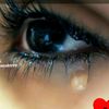 user4512949247905
