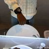 abbas01478