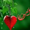 user2460042303783