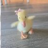katherine_04171
