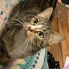 madeline.montvill4