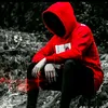 r_ll_81