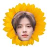 stray.kids11_