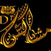 user8181909081690