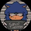 scm_edits_de_sonic